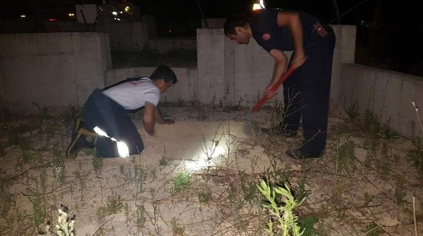 Kanala Düşen Yavru Kedi Kurtarıldı