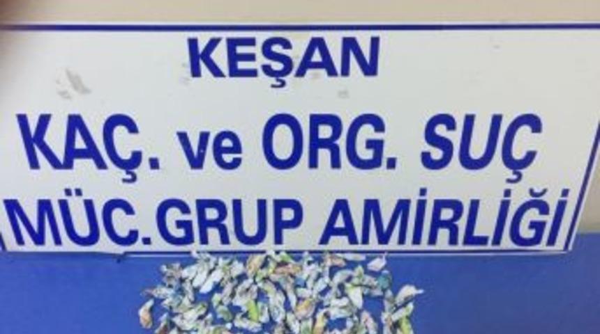 Eve Yapılan Baskında Uyuşturucu Madde Ele Ge&ccedil;irildi