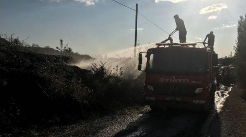 &Ccedil;ocukların Yaktığı Ateş &Ccedil;am Fidanlarını K&uuml;l Etti