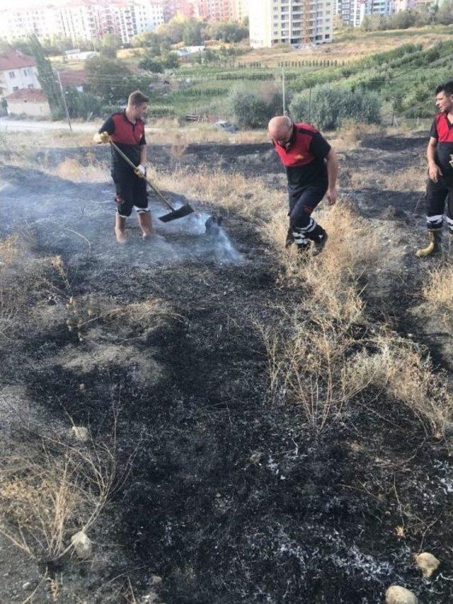 Çocukların Yaktığı Ateş Çam Fidanlarını Kül Etti