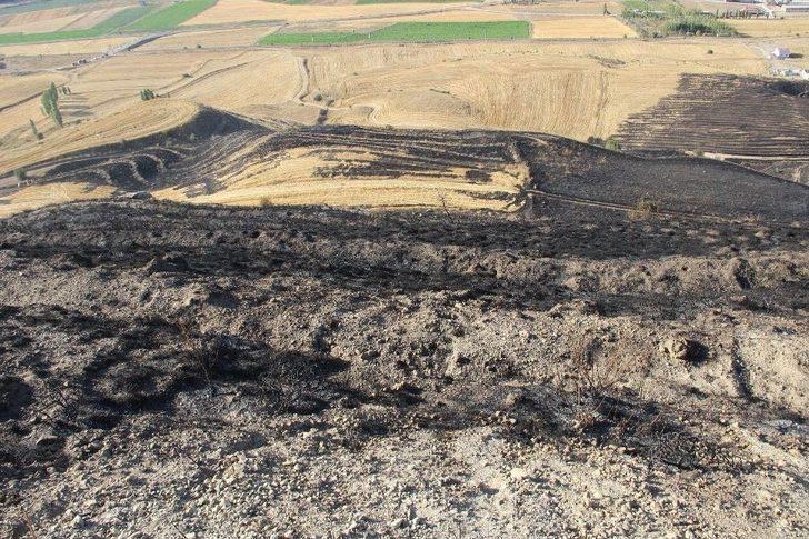 Mangal Ateşi Çam Ağaçlarını Kül Etti G5