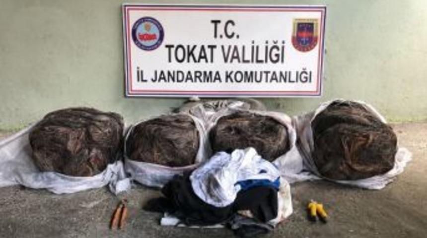 Kablo Hırsızları Jandarmadan Ka&ccedil;amadı