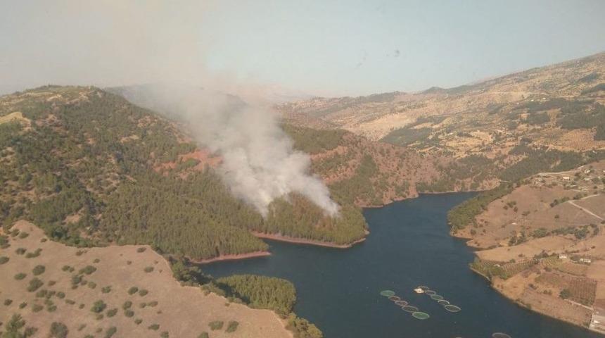 Kahramanmaraş’ta Orman Yangını