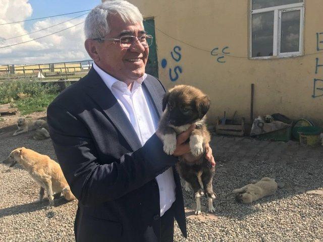 Kars Belediyesi Modern Hayvan Kliniği Yapacak 3