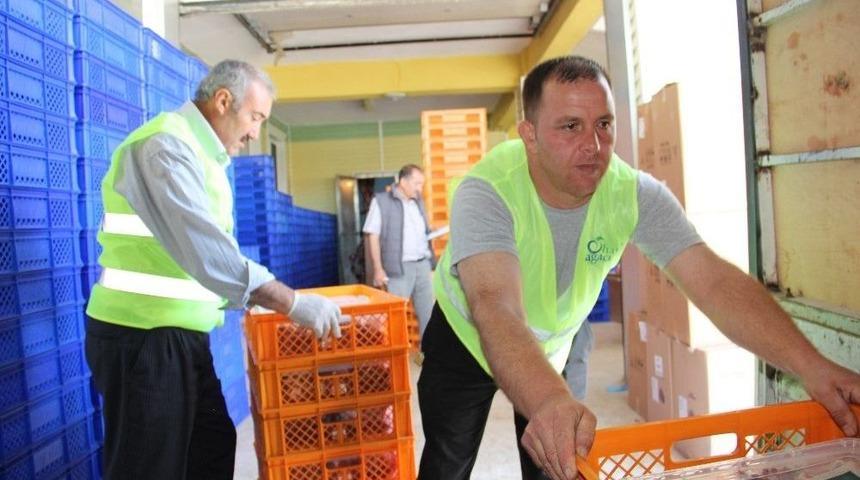 Hayat Ağacı Derneği Kurban Bağış S&uuml;resini Uzattı