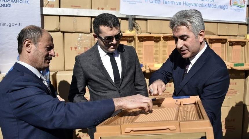 Gümüşhane’de Arıcılara 2 Bin 500 Polen Tuzaklı Kovan Altlığı Daha Dağıtıldı