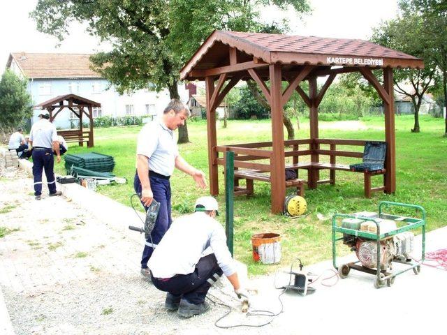 Kartepe’de İbadethanelere Kamelya