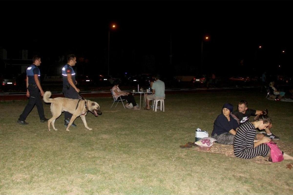 Aracın Arkasına Bağlayıp S&uuml;r&uuml;klenen K&ouml;pek &rsquo;turizm Zabıtası&rsquo; Oldu