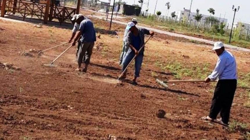 Harran&rsquo;da Kurban Bayramı Hazırlıkları S&uuml;r&uuml;yor