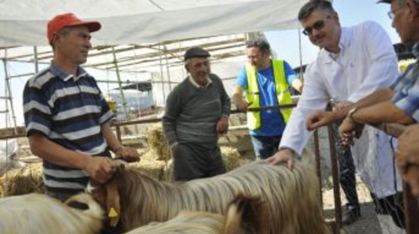 Eskişehir&rsquo;de Hayvan Pazarı Ve Kurban Kesim Yerlerinde Kontrol Noktaları Oluşturuldu