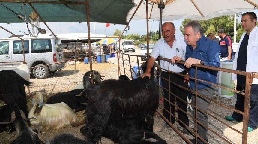 Başkan B&ouml;cek; &ldquo;kurban Bayramı Hazırlıklarımız Tamam&rdquo;