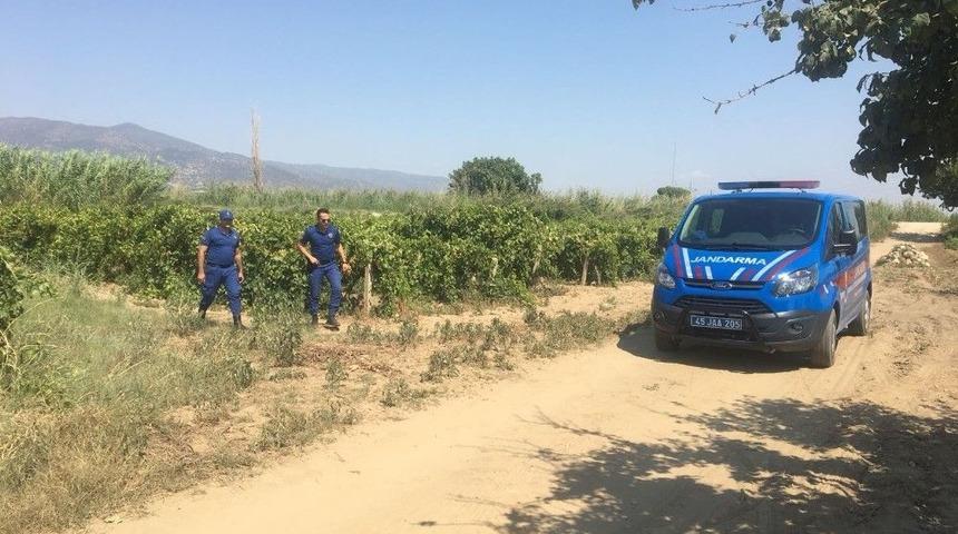 Jandarmadan Hayvan Hırsızlığı Uyarısı