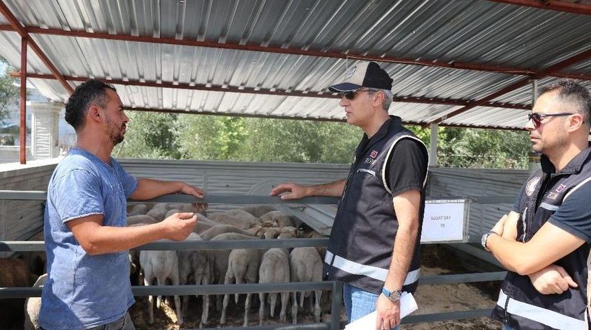 Bolu Hayvan Pazarında Sahte Para Denetimi Yapıldı