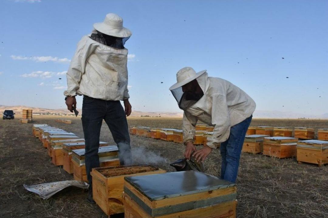 Gen&ccedil; &Ccedil;ift&ccedil;ilerin Y&uuml;z&uuml; Devlet Desteğiyle G&uuml;l&uuml;yor