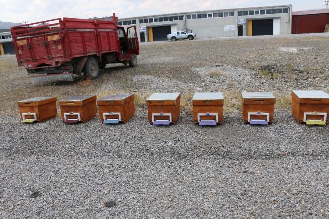 Gen&ccedil; &Ccedil;ift&ccedil;ilere Arı Ve Arıcılık Malzemesi Dağıtıldı