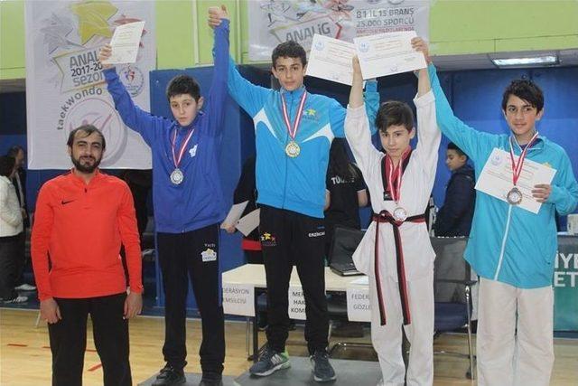 Erzincan Analig Yarı Final De