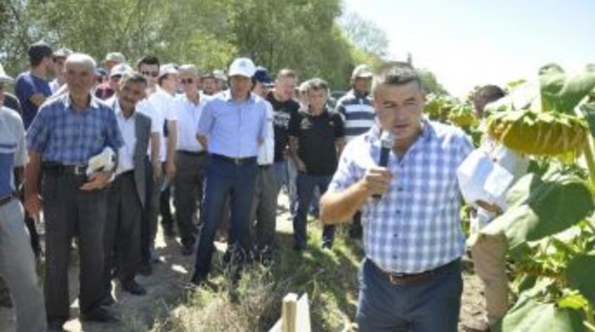 Eskişehir&rsquo;e Uygun Yağlık Ay&ccedil;i&ccedil;eği &Ccedil;eşitleri Tanıtıldı