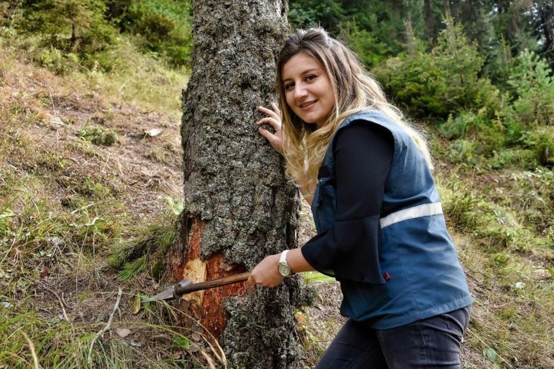 Zigana&rsquo;nın Ormanları Ondan Soruluyor