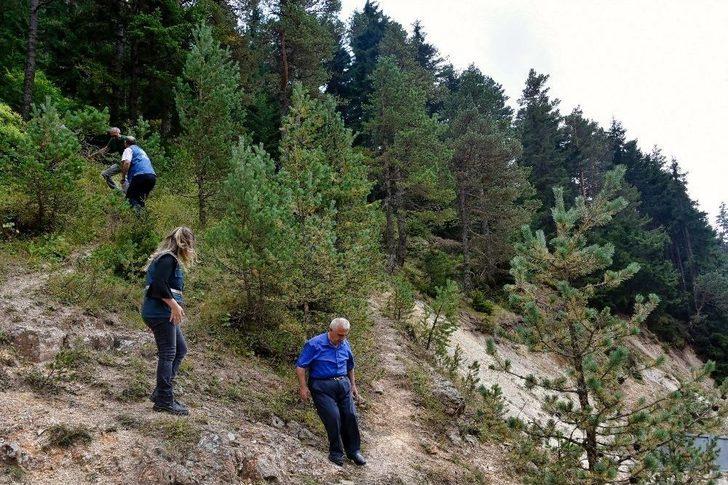 Zigana’nın Ormanları Ondan Soruluyor G3