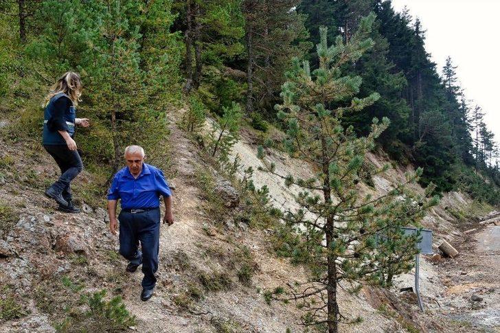 Zigana’nın Ormanları Ondan Soruluyor G4