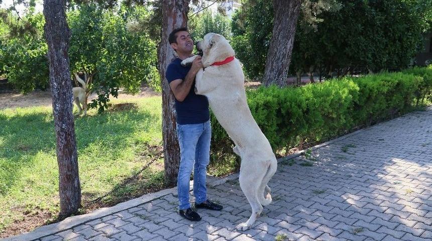 Antalya Tatili &Ouml;d&uuml;ll&uuml; "alemdar" Bulundu