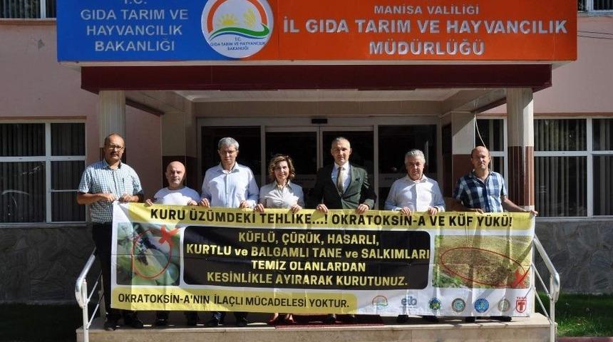 Kuru Üzümde İhracatı Olumlu Etkileyecek Seferberlik