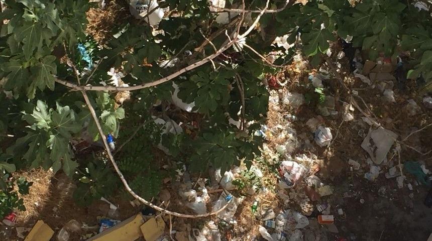 Mahalle Halkı Çevre Kirliliğinden Şikayetçi