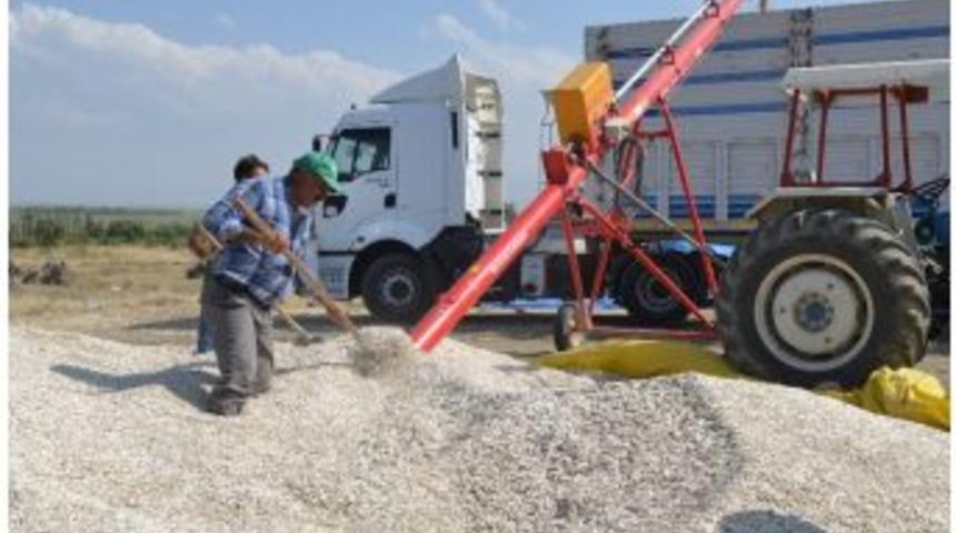 Kayseri Şeker Ay&ccedil;ekirdeği Baş Fiyatını A&ccedil;ıkladı