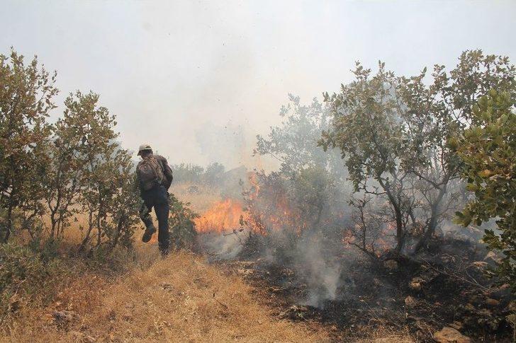 Midyat’ta Ormanlık Alanda Çıkan Yangın Sürüyor G2