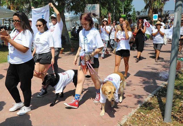 Sokak Hayvanları ’can Yoldaşım’ Şenliğine Yoğun İlgi