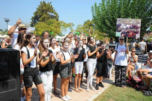 Sokak Hayvanları ’can Yoldaşım’ Şenliğine Yoğun İlgi