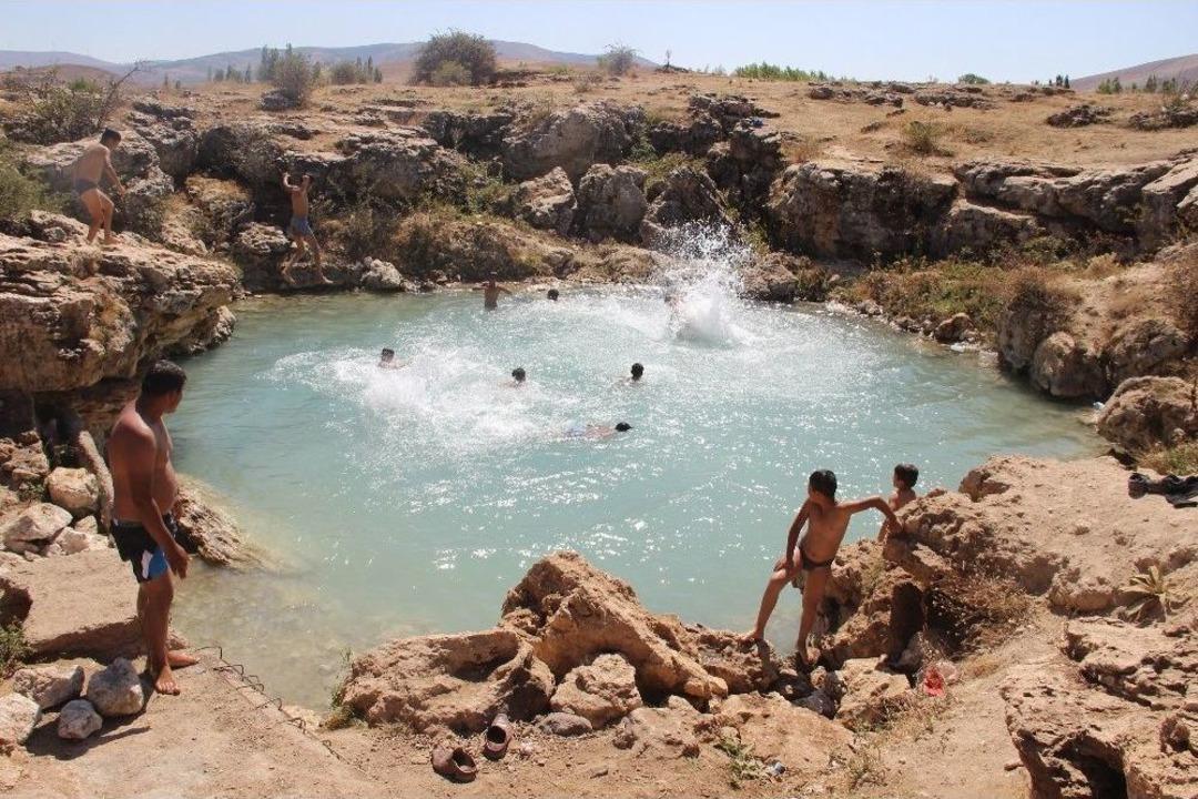 Uyuz Olan Bu G&ouml;le Koşuyor