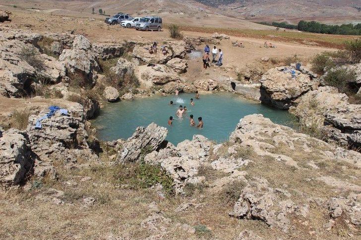 Uyuz Olan Bu Göle Koşuyor G2