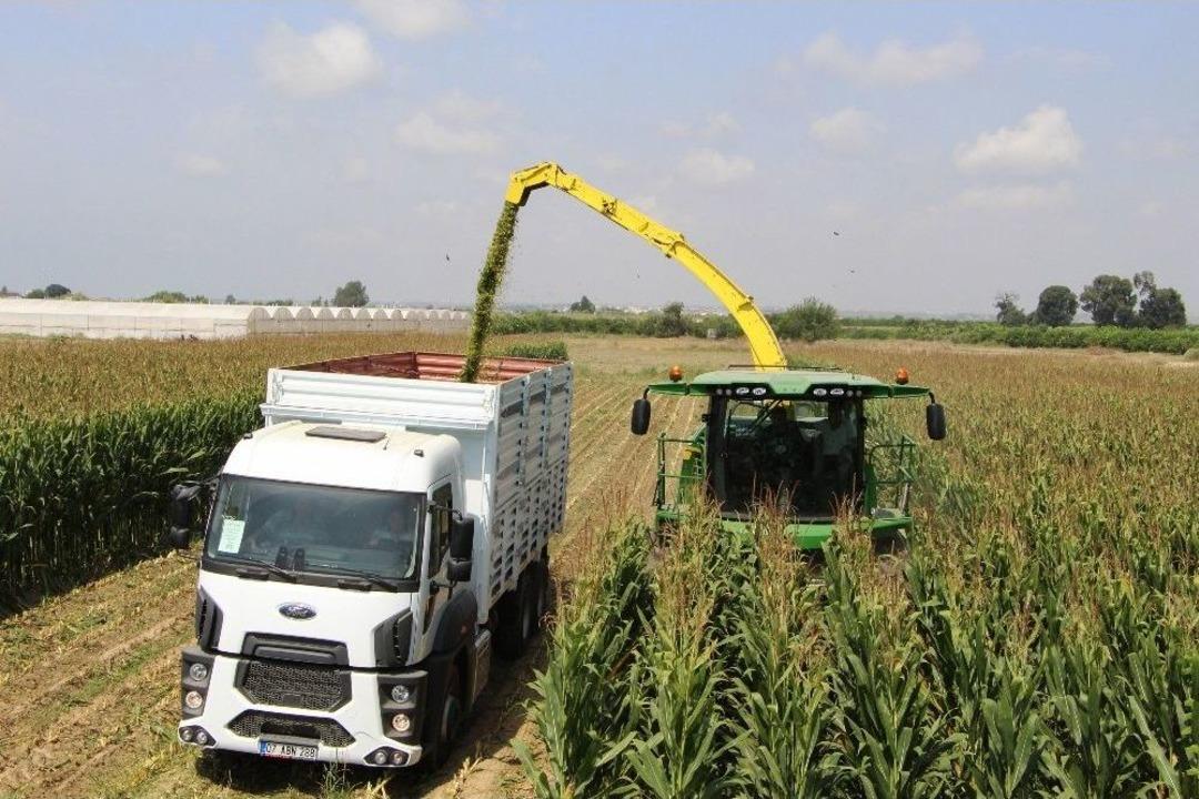 Antalya&rsquo;da Yılın İlk Silaj &Uuml;retimi Başladı