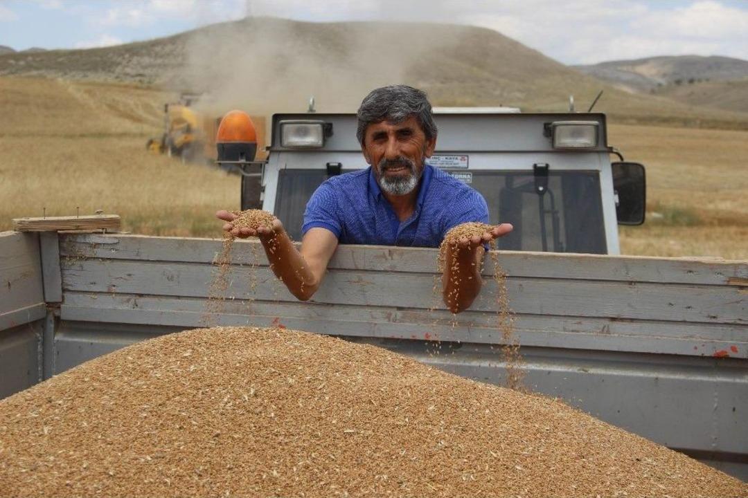 Bi&ccedil;erd&ouml;verler Tarlaya Girdi, Hasat Y&uuml;zleri G&uuml;ld&uuml;rd&uuml;