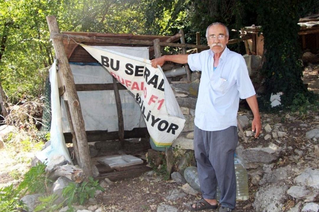 Sit Alanı İ&ccedil;inde Kalınca Hayatları &Ccedil;ekilmez Hale Geldi