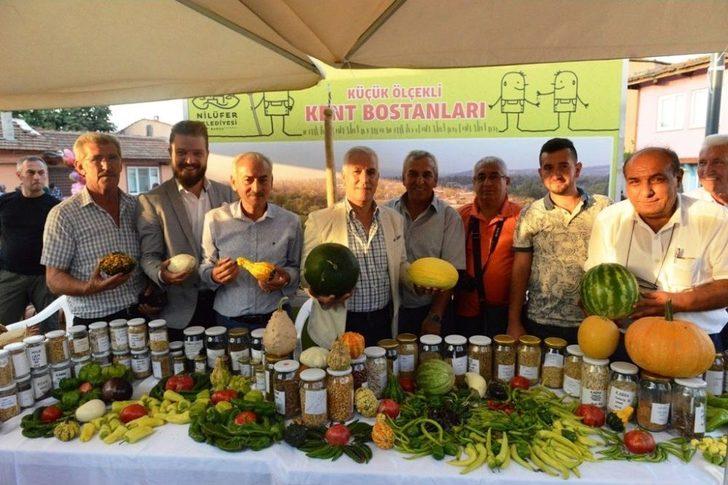 Acı Biber Yemek İçin Yarıştılar G3