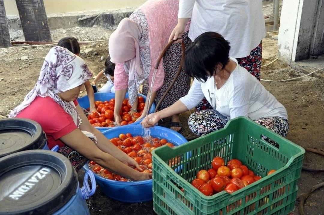 Kadınlar &lsquo;alo Sal&ccedil;acı&rsquo; İle B&uuml;y&uuml;k Dertten Kurtuldu