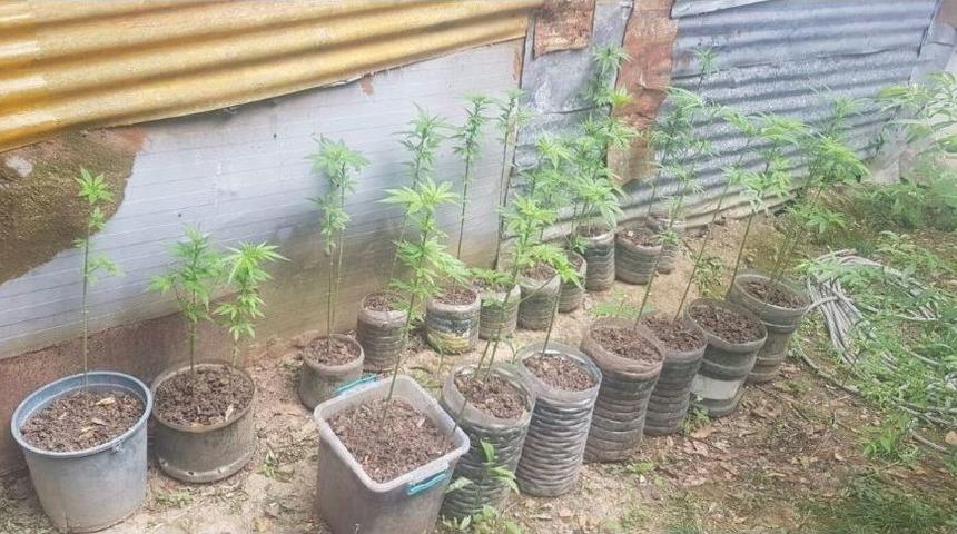 Uyuşturucu Operasyonunda 1 Şahıs G&ouml;zaltında