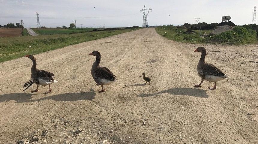 Beymen Club&rsquo;ın D&uuml;zenlediği Fotoğraf Yarışmasının Kazananları Belli Oldu