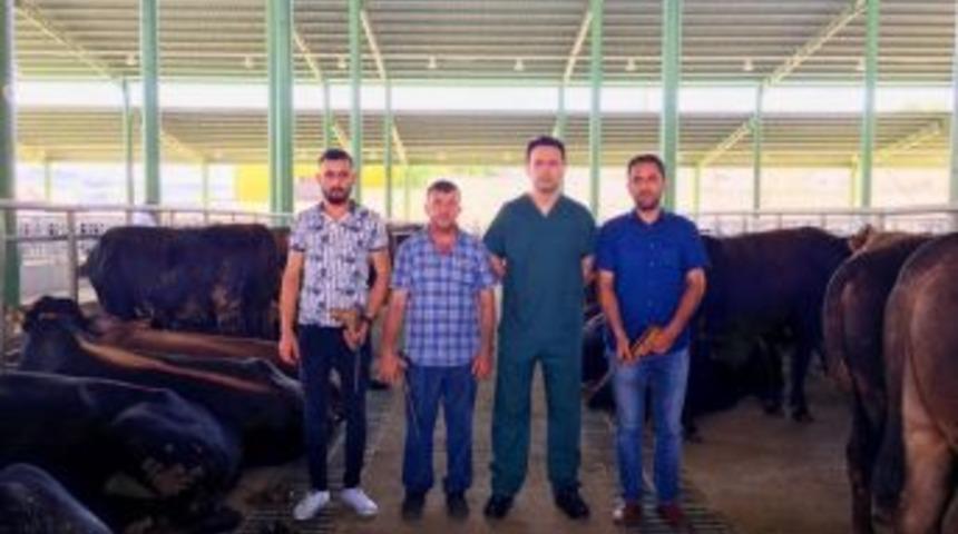 İzmit Belediyesi Boğa Timi G&ouml;reve Hazır