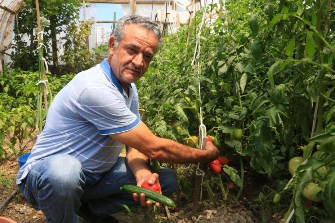 K&uuml;&ccedil;&uuml;k&ccedil;ekmeceliler Pazara Gitmiyor, Bah&ccedil;eye İniyor