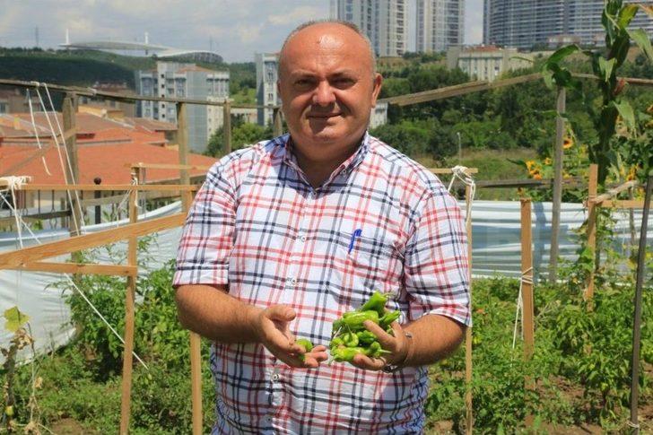 Küçükçekmeceliler Pazara Gitmiyor, Bahçeye İniyor G1