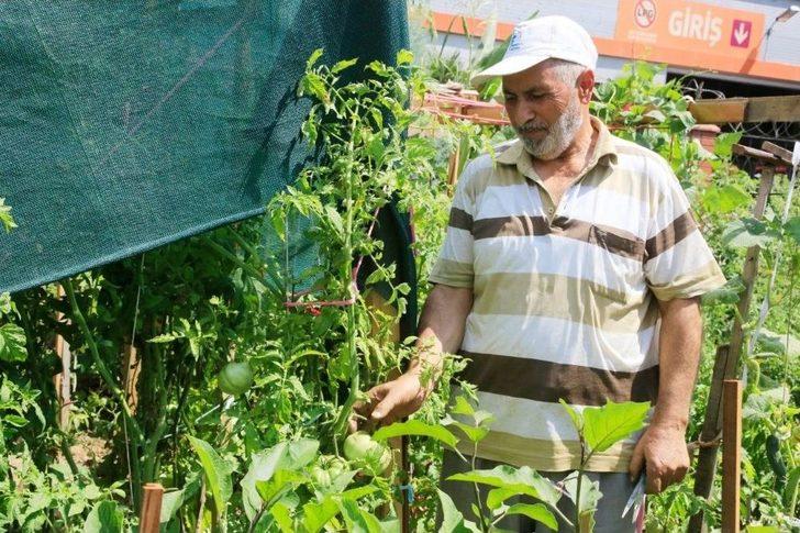 Küçükçekmeceliler Pazara Gitmiyor, Bahçeye İniyor G2