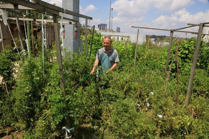 Küçükçekmeceliler Pazara Gitmiyor, Bahçeye İniyor G3