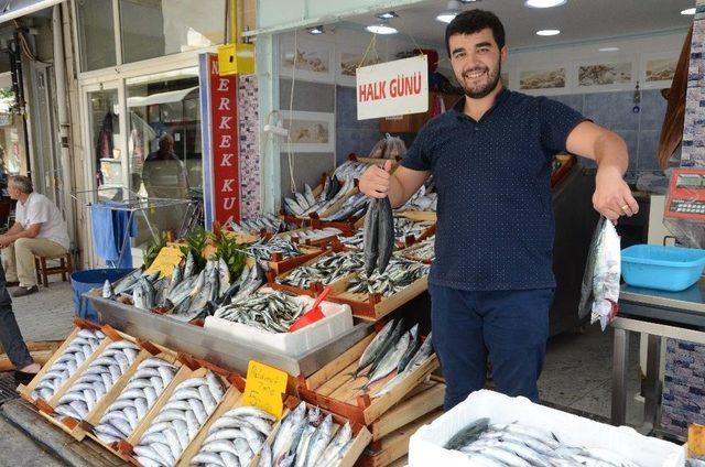 Balıkçı Tezgahlarında Yoğunluk