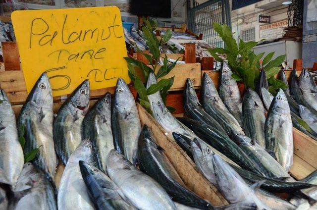 Balıkçı Tezgahlarında Yoğunluk