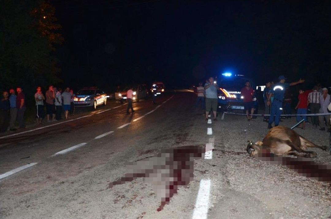 Ordu’da Kaza: 3 Yaralı