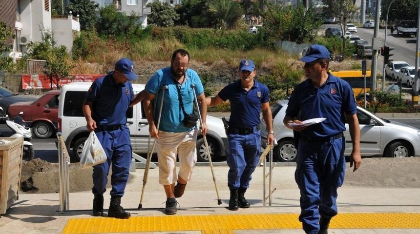 Koltuk Değnekli Zehir Taciri