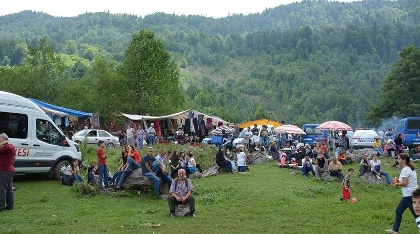 G&uuml;meli Tabiat Orman Parkı &Ccedil;&ouml;pl&uuml;ğe D&ouml;nd&uuml;